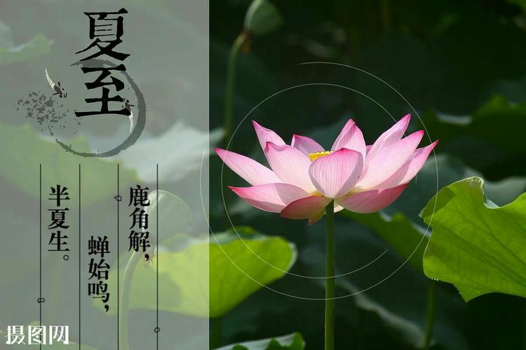 炎炎夏至，百舸竞发（红日高挂，祈福平安）
