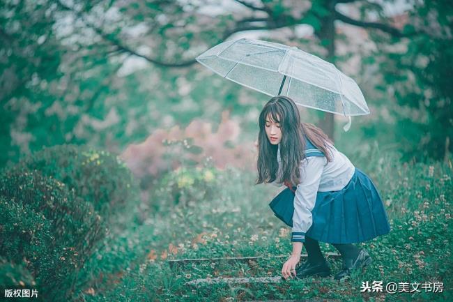 听雨落，品一份静美
