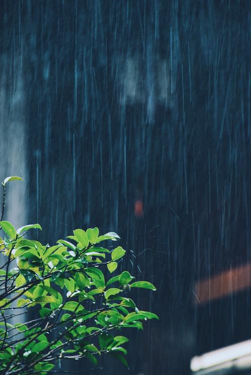 雨之恋——怀着唯美的心情走进雨季
