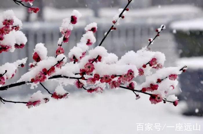 一场唯美古风的雪之梦
