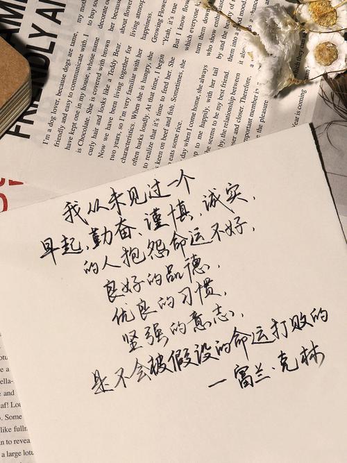 追求卓越（以我会努力变得更好为信念）
