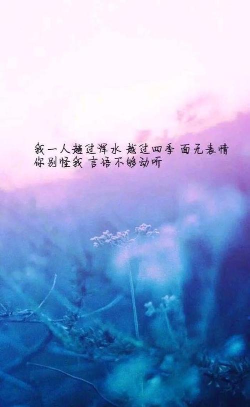 缱绻唯美，执念伤感（以短句诉说情感）
