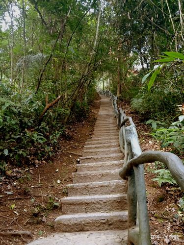 回忆之旅（寻找已逝时光的痕迹）
