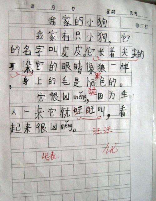 我最喜爱的小狗的作文怎么写400字（《一个小狗的成长历程
》）