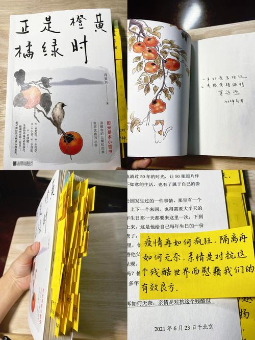 我尝到了友情的滋味作文开头（《友谊的滋味
》）