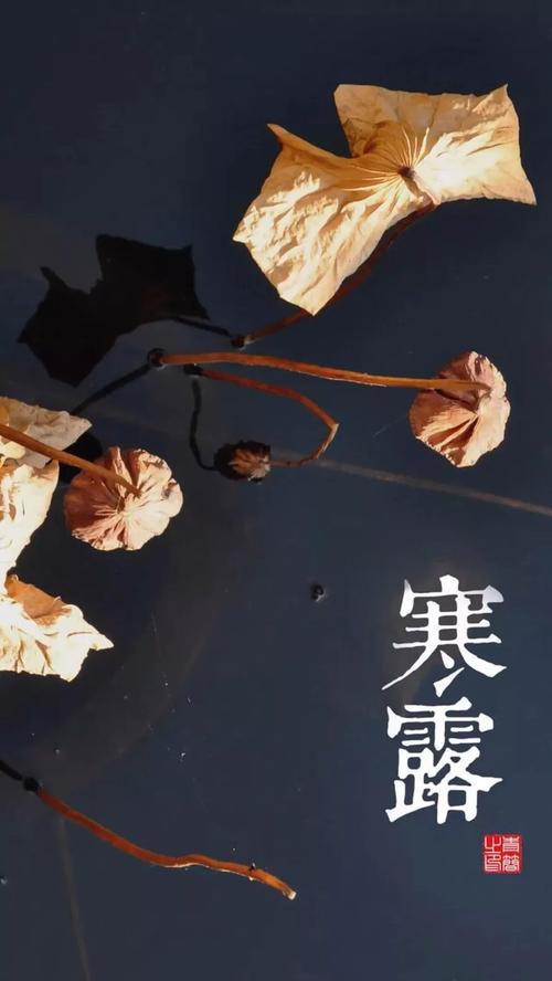 寒露节气发朋友圈经典说说（用唯美的语言，为友情加冕；用真挚的心意，为爱情加冕。
）