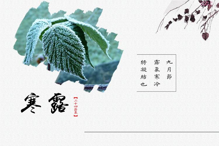 2018寒露节气短信祝福语录（寒露祝福，温暖传递
）