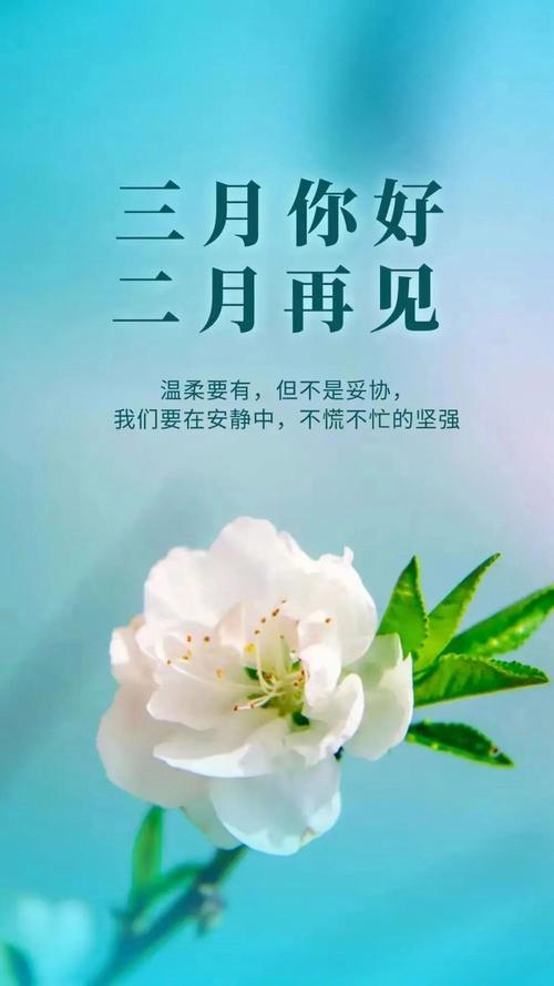 二月你好的心情说说句子大全（寻找春天的踪迹
）