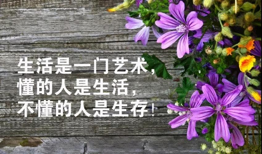 冬天感慨人生的句子（岁月静好，淡泊人生
）