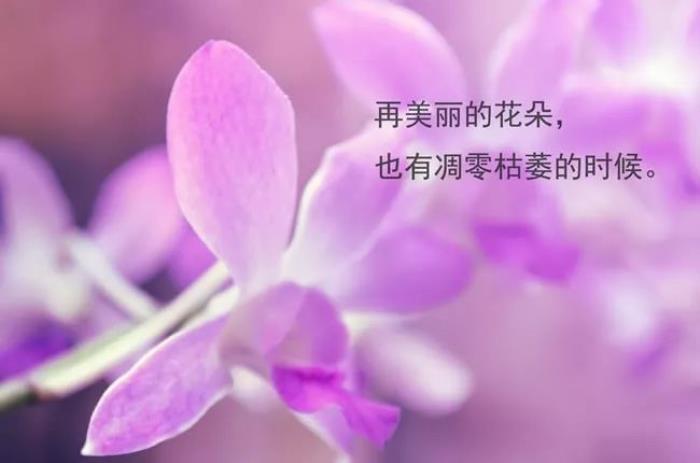 有关时光流逝的唯美句子的句子有哪些（怀旧唯美句子集
）