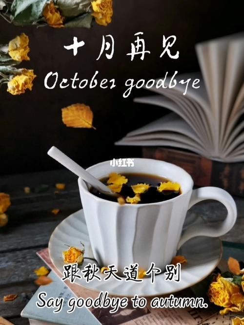 10月再见十一月的说说（十月离开，十一月相遇——我的心情短语）