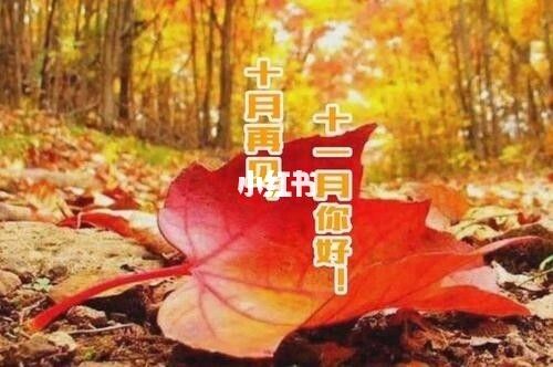 10月再见十一月的说说（十月离开，十一月相遇——我的心情短语）