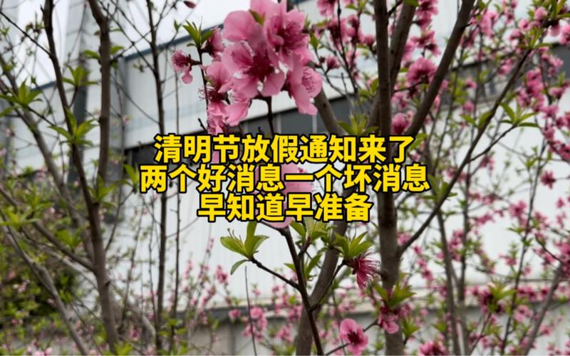 清明节悼念亲人的说说（缅怀深爱的亲人，带着温馨的思念）