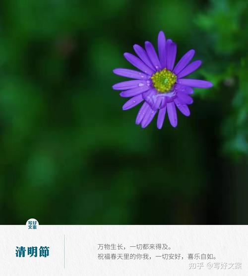 2021年清明节的说说（清明节——缅怀故人，感悟生命）