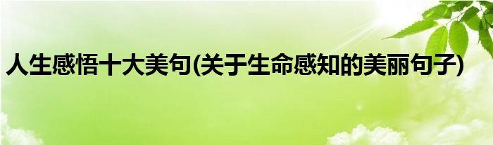 有关生命的好句子的短句摘抄（生命之美——探索生命的深层意义）