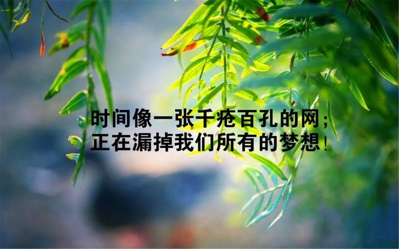 有关生活励志的说说（探寻生活中的乐趣
）