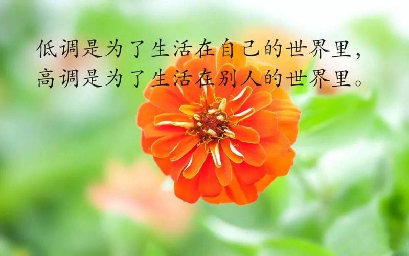 有关生活经典句子的句子大全（时间的美妙存在）