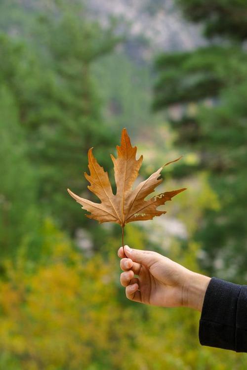 生活苍桑的诗句（一个人苍凉的岁月、唯美的回忆
）