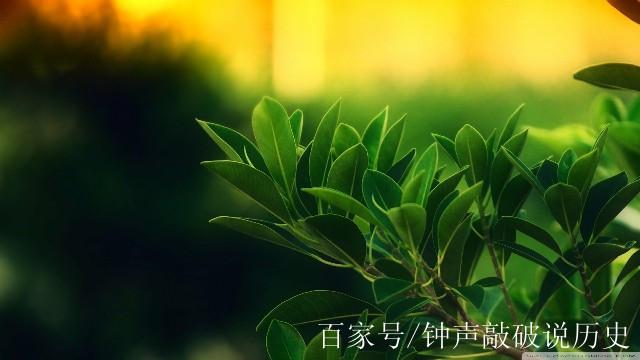 深夜牵挂一个人的句子（《深夜牵挂》——一个对过去的忧伤
）