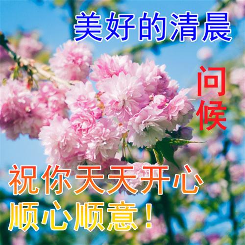 日益精进的经典句子（正能量点燃生命的火花
）