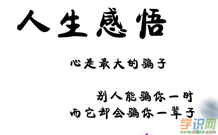 有关人生需要梦想名言警句的句子摘抄（以梦想为航向，驶向人生巅峰
）