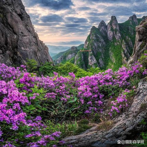 初中作文生活处处有风景（《路见不平，风景便来》）