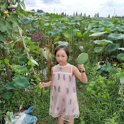 以我的暑假生活作文手抄报四年级简单（《我的暑假生活：一场意外的冒险
》）