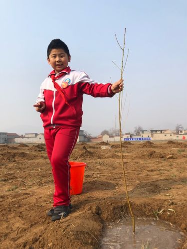 以有意义的植树节的作文400字（《植树节，我们从小做起》）