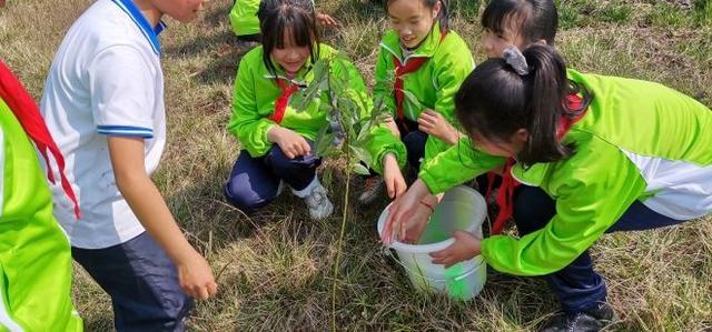 以有意义的植树节的作文400字（《植树节，我们从小做起》）