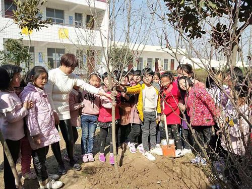 以有意义的植树节的作文400字（《植树节，我们从小做起》）