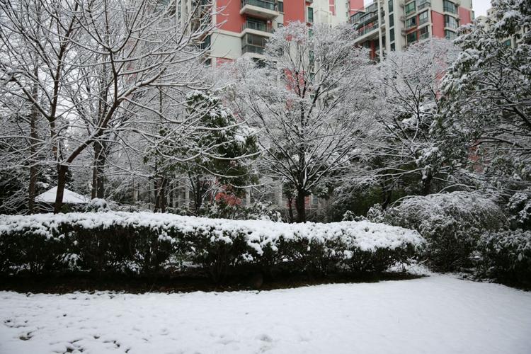 用白雪皑皑写作文（《白雪皑皑》）