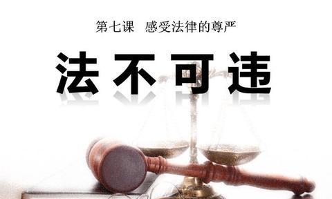 法律名言警句霸气（相信法律的力量的句子优美）