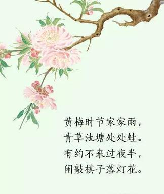 内有芳华二字的诗句（感慨青春的唯美短句）