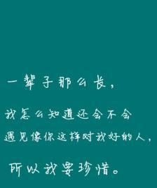 酸甜苦辣人生感悟句子（人生正能量的感悟短句名言）