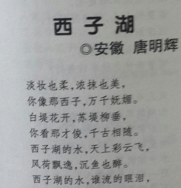 关于湖的诗句古诗大全（关于湖的一年级短文）