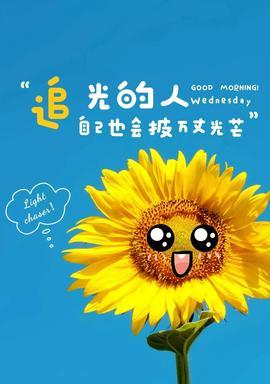 向日葵八个字阳光的短句（形容向日葵的诗句语句）