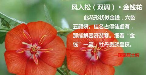 赞美花的句子和心情（喜爱鲜花赞美经典短句长句）