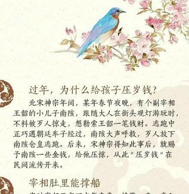 从懵懂无知蜕变到成熟的句子（描写从青涩到成熟蜕变的诗句金句）