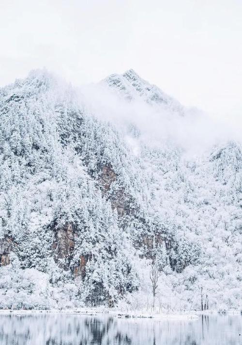 大雪纷飞的说说（形容大雪纷飞的好句摘抄）