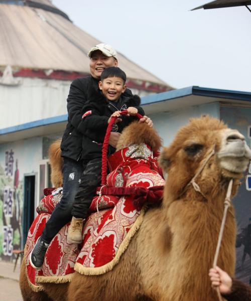 带孙子享受人生的乐趣的句子（和孙子一起玩美好的书摘）