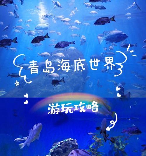 海底世界的好词好句大全（海底世界描述句子名言）