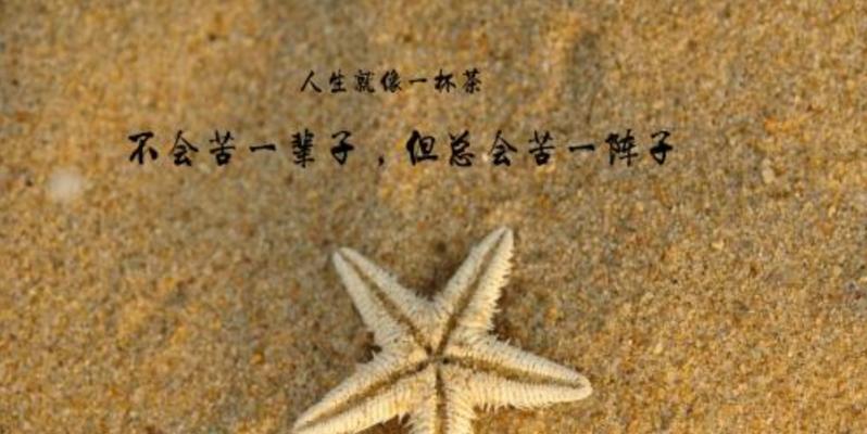 感悟人生语录视频（生活致自己人生感悟句子文案）