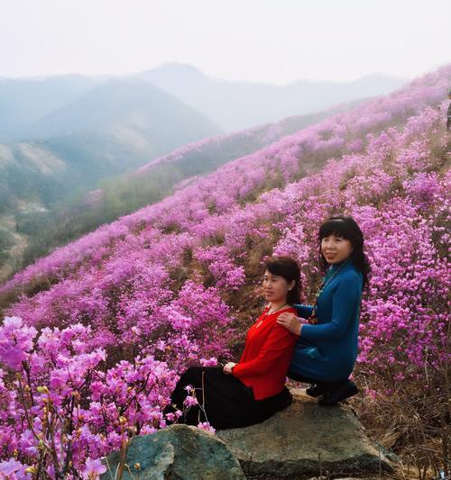 赞美杜鹃花的古诗词（映山红唯美句子简短寄语）