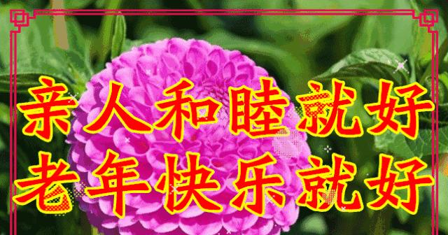 幸福久久默契回复句子（祝闺蜜幸福的,超感动的名言）