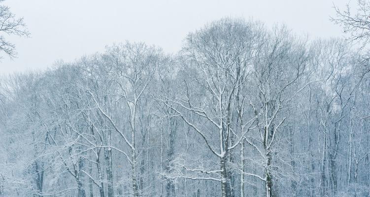 《大雪》古诗（形容雪大雪猛的诗句名言）