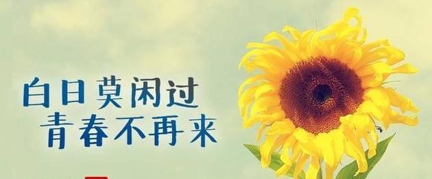 祝愿老人健康长寿的唯美句子（希望爷爷身体健康的话语精辟）