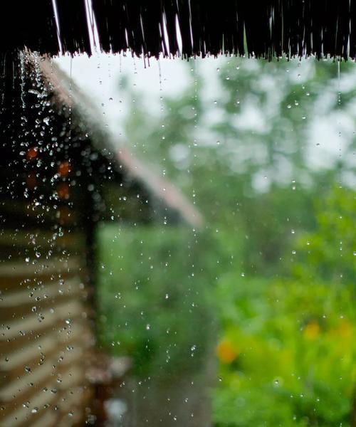 关于雨的诗句唯美和情感（关于雨的唯美并说出情感短语）