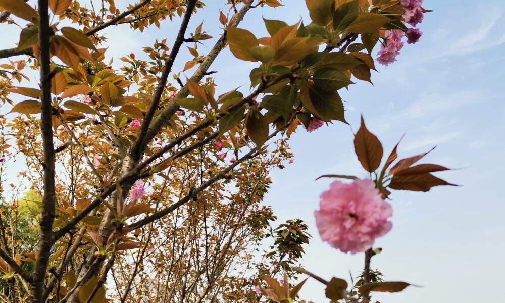 适合发朋友圈的阳光短句（天气好文案小清新句子）