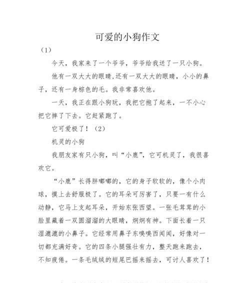 我心爱的小狗作文900字（我最喜欢的动物小狗优秀）