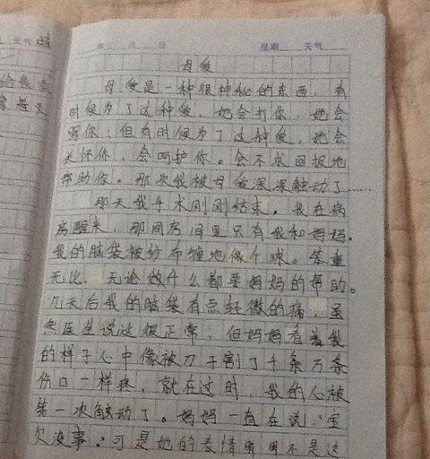 父爱的作文600字（父爱初中精选）